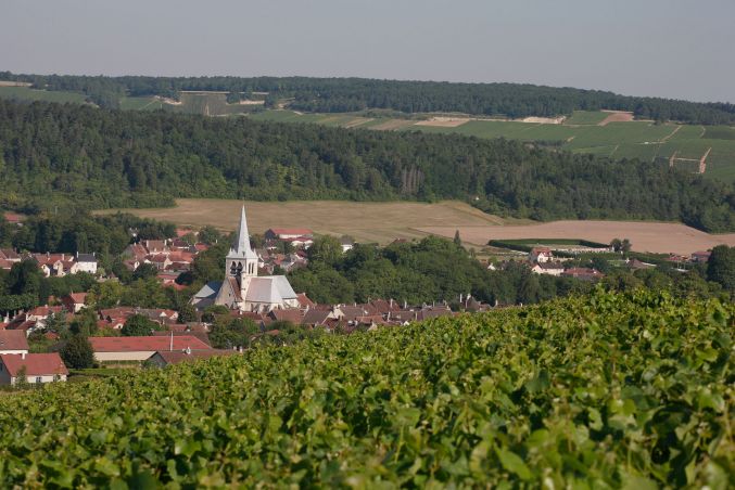 Le Magny*** |  Aube Champagne